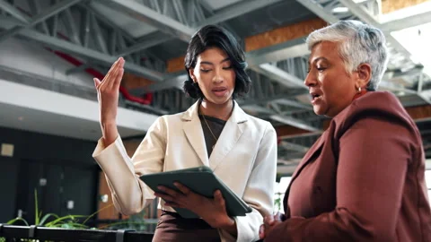 Creative, manager and women with tablet in business, discussion and planning for Stock Footage 338006801