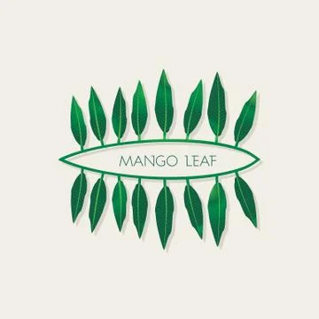 Creative mango green leaf Stock Illustration