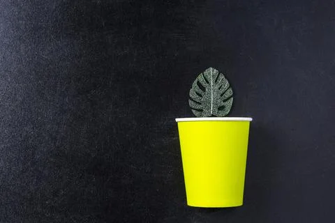 Creative minimalistic composition,a paper cup and a green leaf on a black bac Stock-Fotos