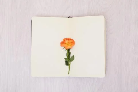 Creative mock up layout made with copy space on table. Open sketchbook. Stock Photos