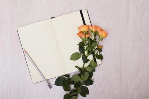 Creative mock up layout made with copy space on table. Open sketchbook. Stock Photos