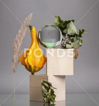 Creative modern still life of wooden elements and dried flowers on a natural Stock Photos