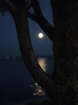 Creative Moon Photoshoot Stock Photos