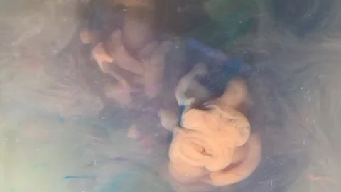 Creative Motion flows a bright brown and blue color Mixing Stock Footage 146268795