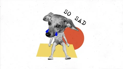 Creative motion trend collage video of upset guy cry instead head puppy Stock Footage 302991975