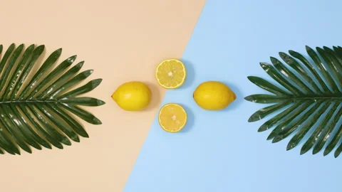 Creative moving dance of tropic palm leaves and fresh citrus lemons. stop motion 스톡 동영상 151935286