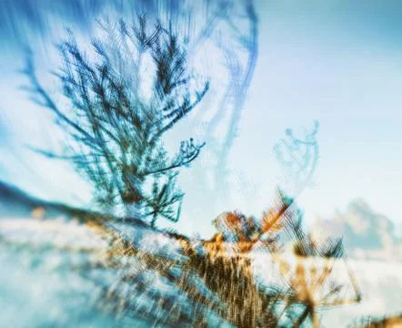 Creative natural background Stock Photos