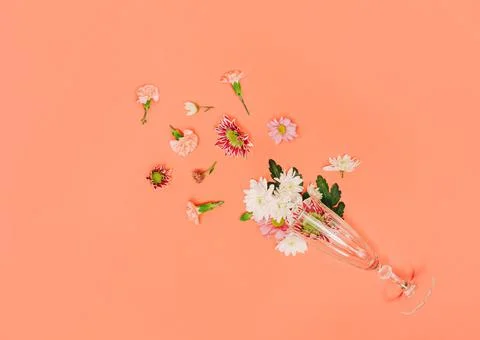 Creative natural minimal flat lay layout with various flowers and champagne Stock Photos