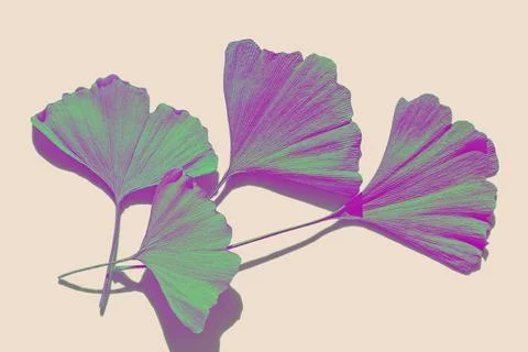 Creative neon leaves Stock Photos