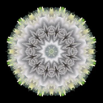 Creative ornamental design on black background Stock Illustration