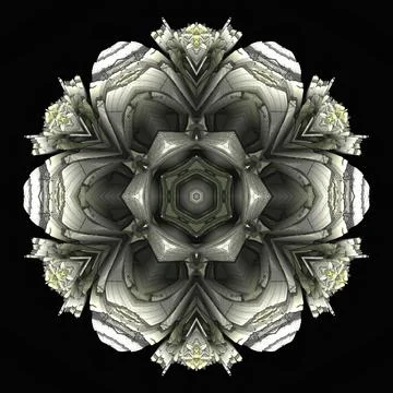 Creative ornamental design on black background Stock Illustration