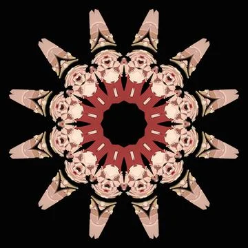 Creative ornamental design on black background 스톡 일러스트