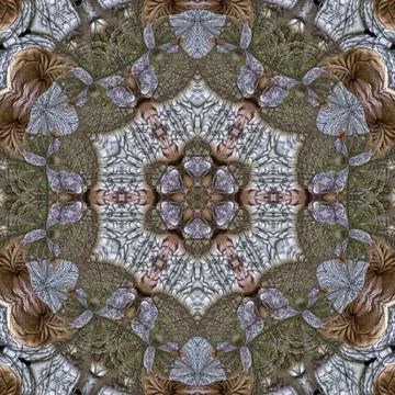 Creative ornamental design Stock Illustration