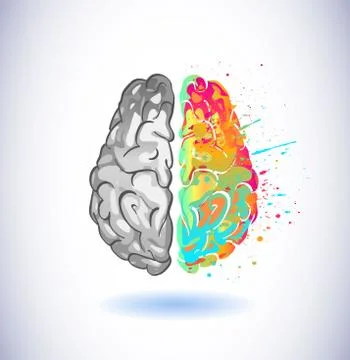 Creative part and logic brain part vector illustration element Stock Illustration