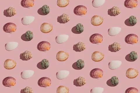 Creative, pastel pink summer pattern made of colorful sea shells. Trendy mini Foto stock
