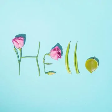 Creative, pastel spring composition made of green leaves and pink roses. Mini Stock Photos