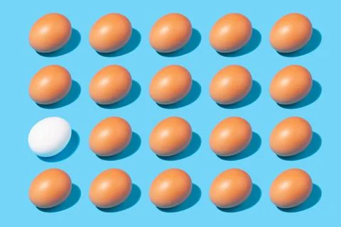 Creative pattern of brown eggs and one white egg - concept on the topic don't 库存照片