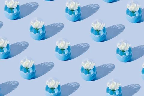 Creative pattern done with white spring blossom inside the fashionable blue p Stock Photos
