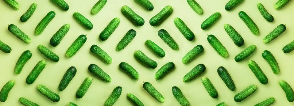 Creative pattern of fresh cucumbers on green background. Top view. Copy space Stock Photos