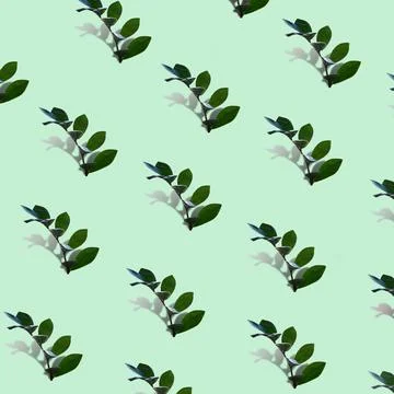 Creative pattern made of green leaves tropical plant with shadow on green pas 스톡 사진
