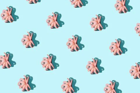 Creative pattern made with pink baby octopuses. Stock Photos