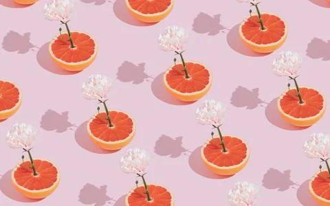 Creative pattern made of pink flower growing out of red grapefruit on pastel  Stock Photos