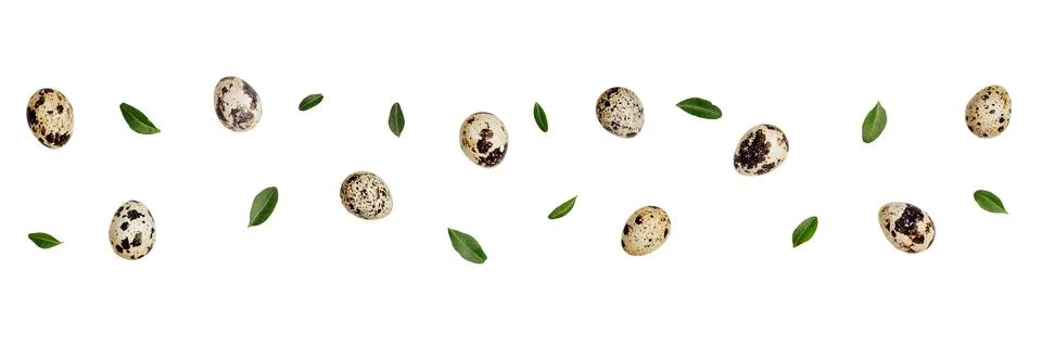 Creative pattern with quail eggs cut out on white background. Easter zero w.. 写真素材