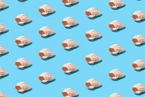 Creative pattern of seashells on a blue background Stock Photos