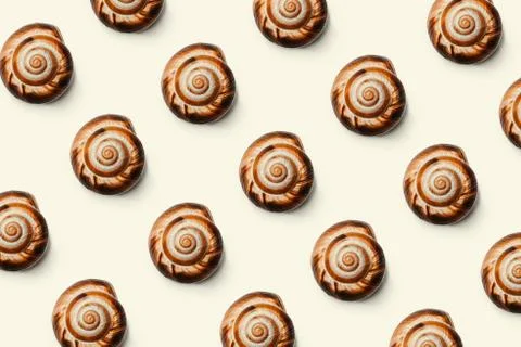 Creative pattern of seashells on white background. Natural background concept Stock Photos