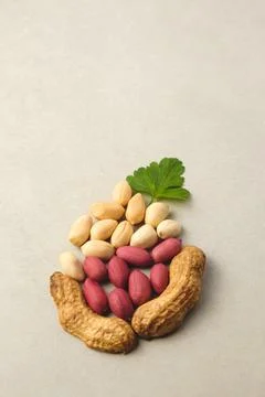 Creative peanut arrangement showcasing different varieties and textures Stock Photos