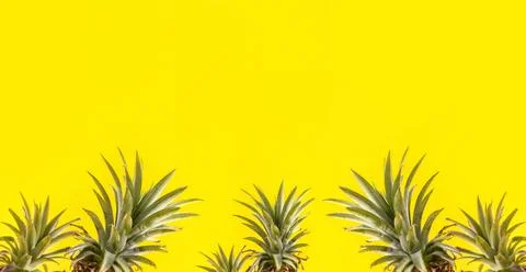 Creative pineapple looking up with sunglasses and shell isolated on yellow ba Stock Photos