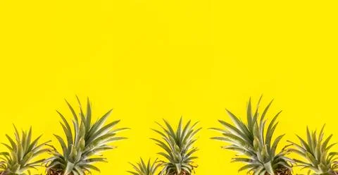 Creative pineapple looking up with sunglasses and shell isolated on yellow .. Stock Photos