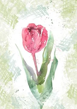 Creative pink tulip, spring summer illustration, gift card for a woman, mom Illustrazione stock