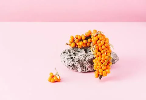 Creative podium made of stone and sea buckthorn for cosmetics products on pink Stock Photos