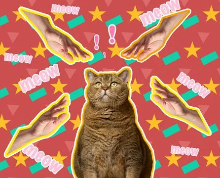 A creative pop art collage featuring a cat surrounded by reaching hands, ex.. Stock Photos