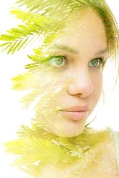 Creative portrait of a young woman combined with a photograph of a leafy tree Stock Photos