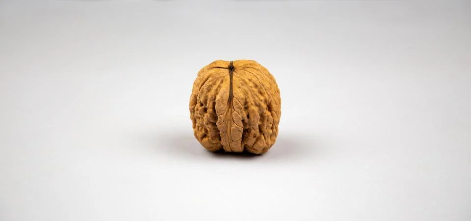 Creative poster Walnut in shell closeup gray background with copy space. Nu.. Stock Photos
