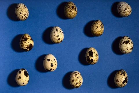 Creative quail egg layout on blue background. Quail eggs pattern. Happy easter 스톡 사진