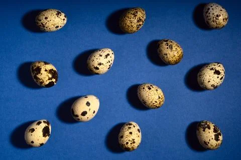 Creative quail egg layout on blue background. Quail eggs pattern. Happy easter Stock Photos