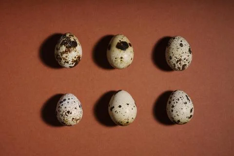 Creative quail egg layout on brown background. Quail eggs pattern. Happy easter Stock Photos