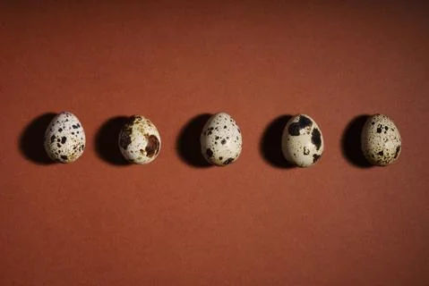 Creative quail egg layout on brown background. Quail eggs pattern. Happy easter Stock Photos