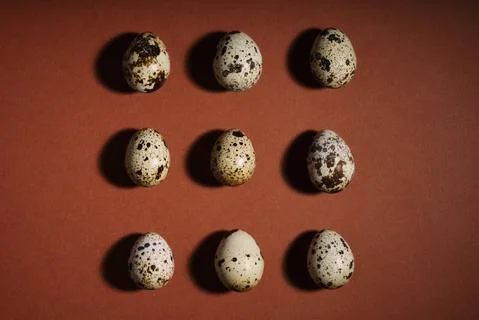 Creative quail egg layout on brown background. Quail eggs pattern. Happy easter Stock Photos
