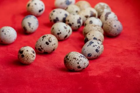 Creative quail egg layout on red background. Happy easter concept. Minimal de Stock-Fotos