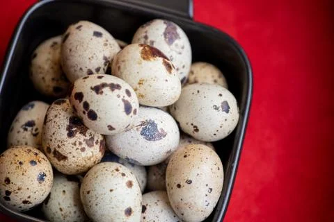 Creative quail egg layout on red background. Happy easter concept. Minimal de 스톡 사진