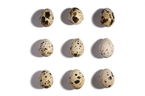 Creative quail egg layout on white background. Quail eggs pattern. Happy easter Stock Photos