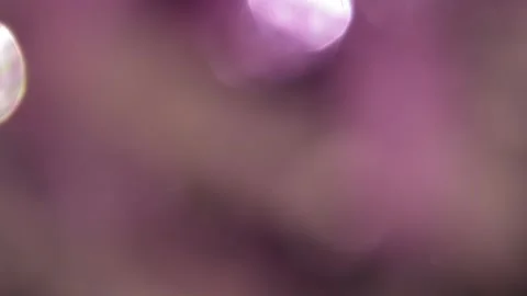 Creative realistic abstract bokeh light leak video 스톡 동영상 317450915