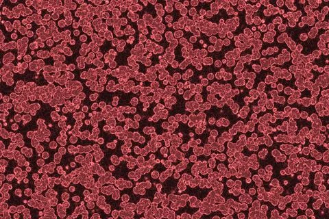 Creative red organic noise digital art backdrop illustration 스톡 일러스트
