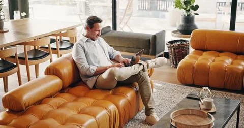 Creative, remote work and happy man with laptop in lounge, writer and proof.. Stock Photos