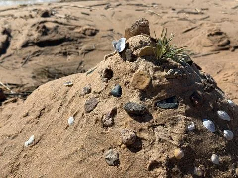 Creative Sand Sculpture With Shells and Stones on Beach Fotos Stock