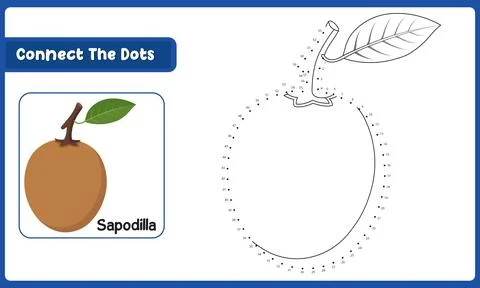 Creative sapodilla dot to dot puzzle game for kids learning activity and sc.. Stock Illustration